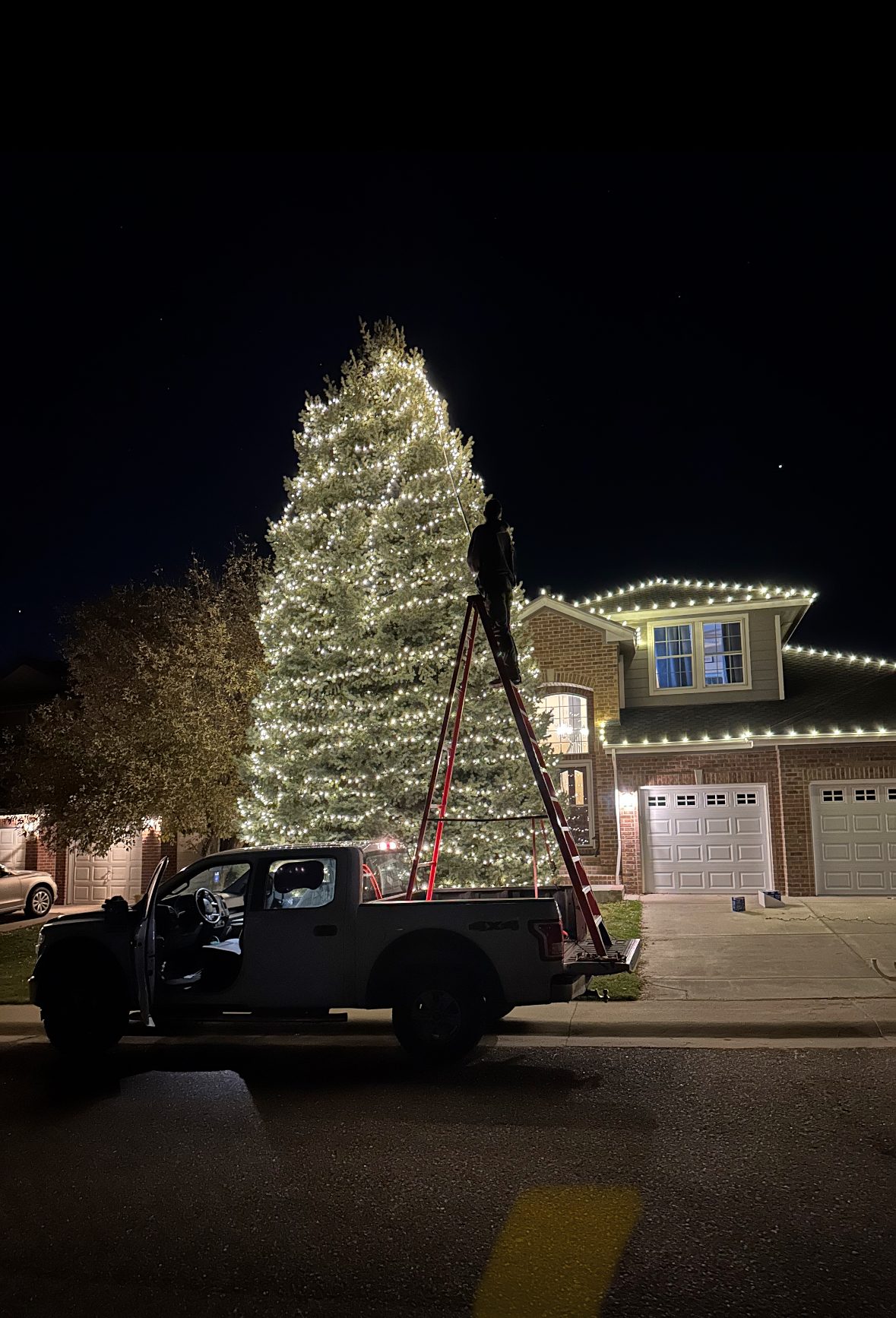 Very Good Christmas Lights installer on a ladder set in a pickup bed, wrapping a tall evergreen tree in warm white lights beside a lit two-story home