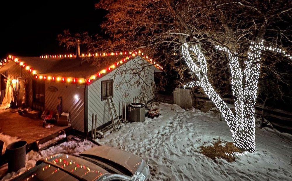 Snow-covered cabin with multicolor roofline lights and a large tree trunk and branches densely wrapped in bright white lights